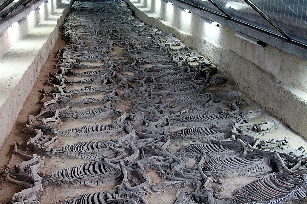 Linzi Qi Culture Sites Zibo: Qi Capital Ruins, Horse Pit and Football Museum
