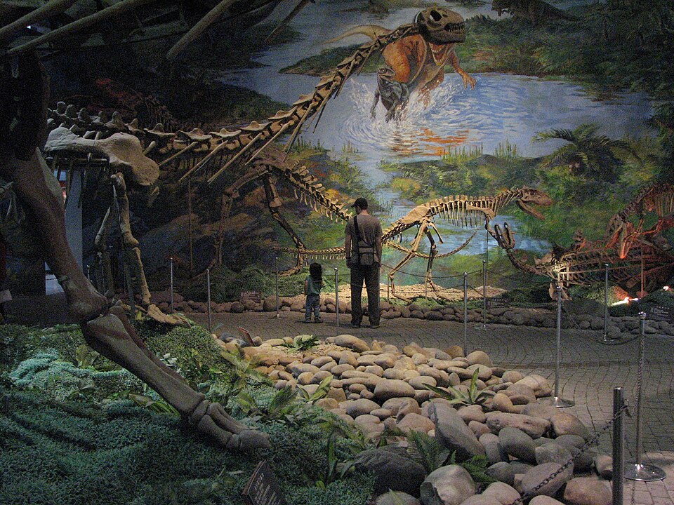 Dinosaur skeleton hall inside Zigong Dinosaur Museum